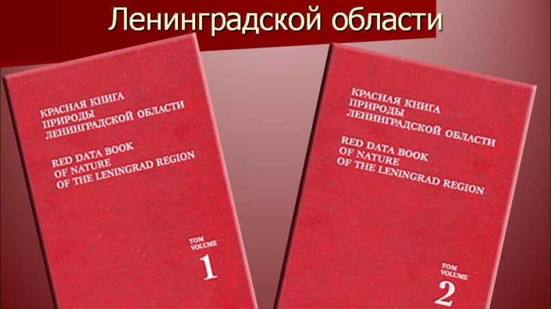 Красная книга ленинградской области с картинками